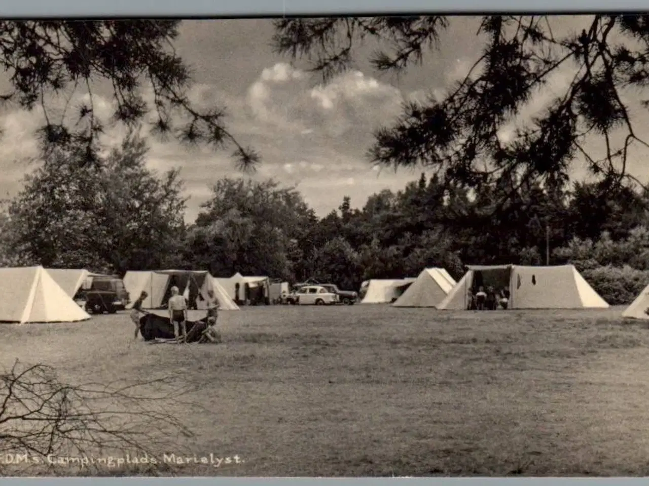 Billede 1 - FDM Campingplads - Marielyst - Postkort - Brugt