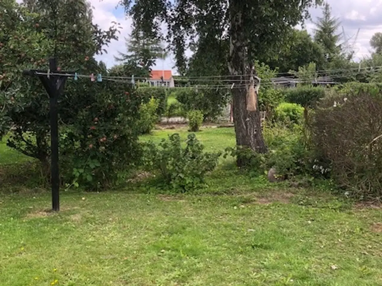 Billede 8 - Kolonihave i Odense C