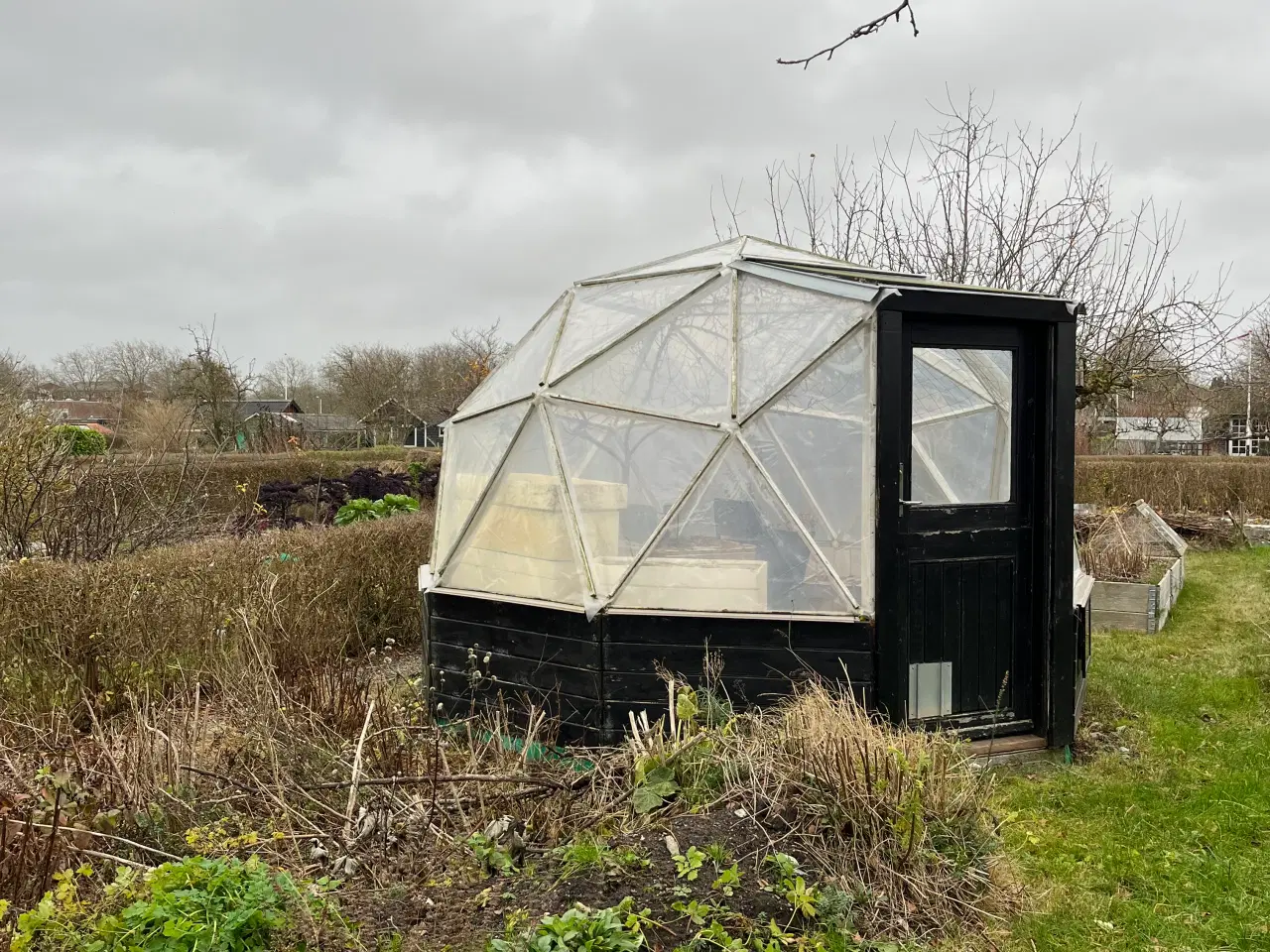 Billede 6 - Kolonihavehus i Odense C