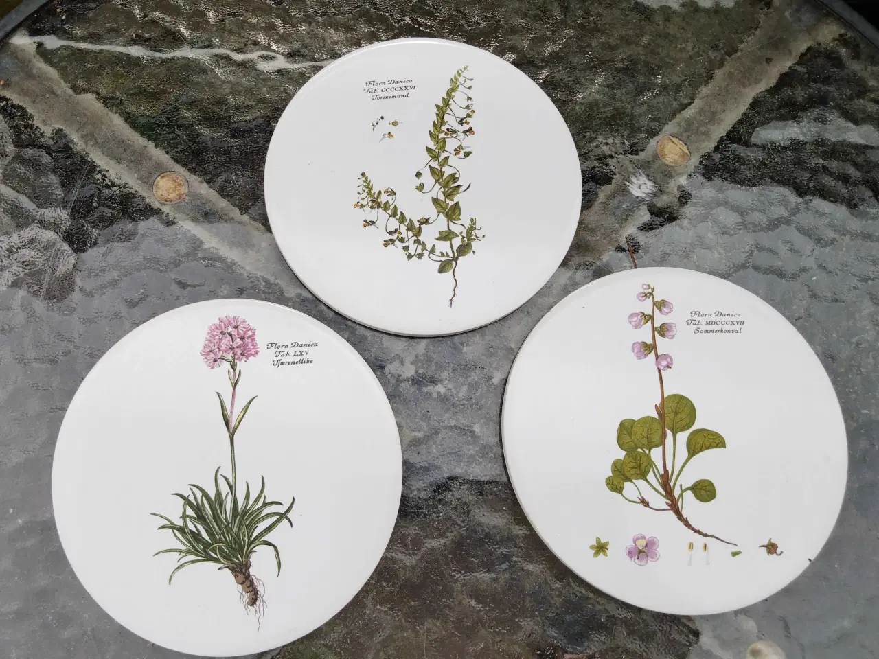 Billede 1 - Flora Danica platter