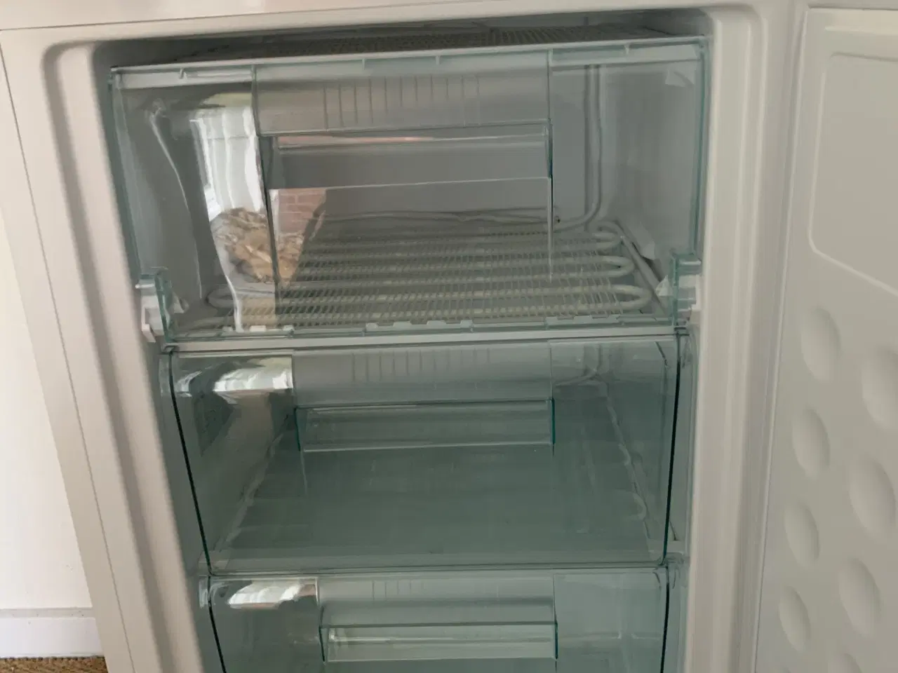 Billede 4 - Lille Skabsfryser