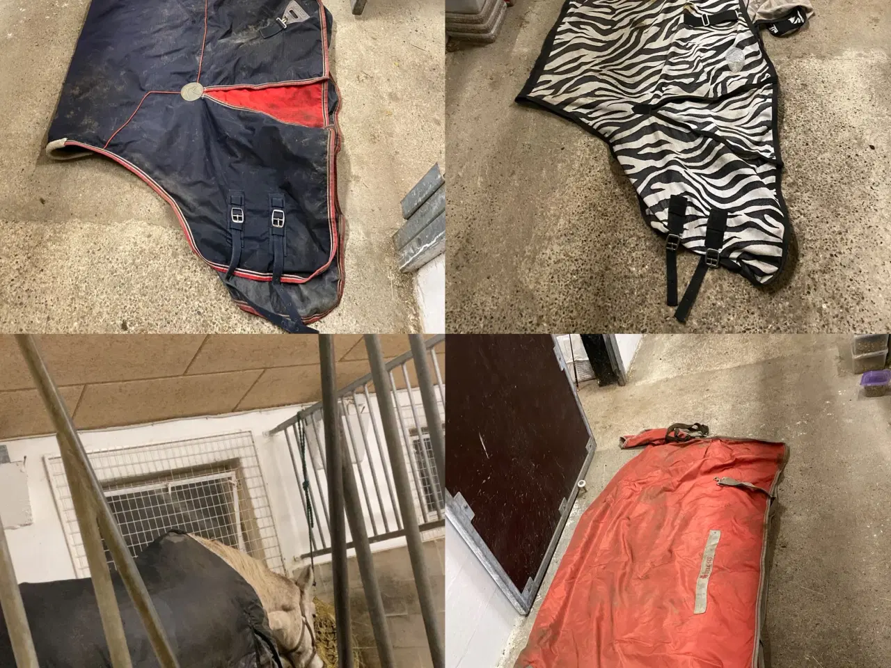 Billede 2 - Heste udstyr skal væk hurtigst muligt 