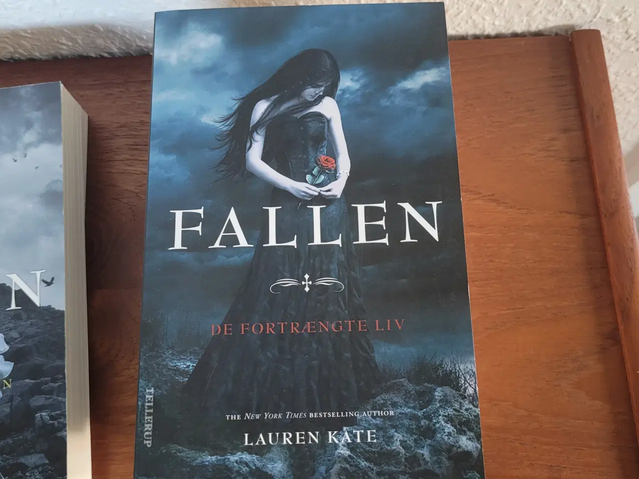 Billede 4 - Bogserie - Fallen 