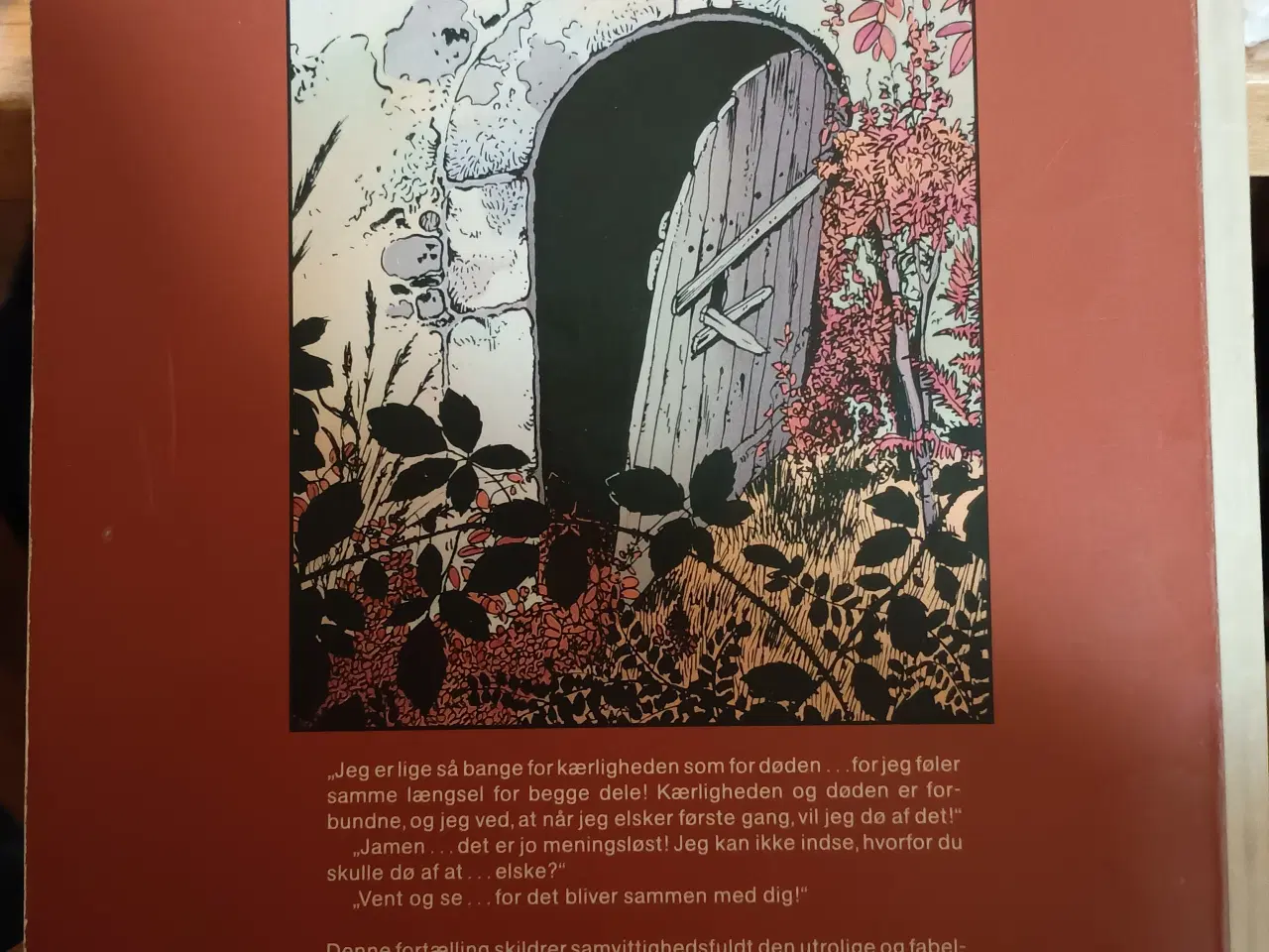 Billede 2 - Den Lille Død. 