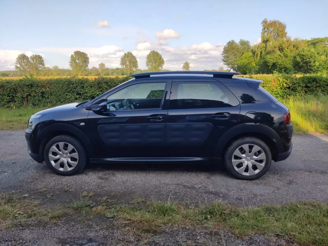 Billede 8 - Citroën C4 Cactus 1,2 PureTech 82 Feel