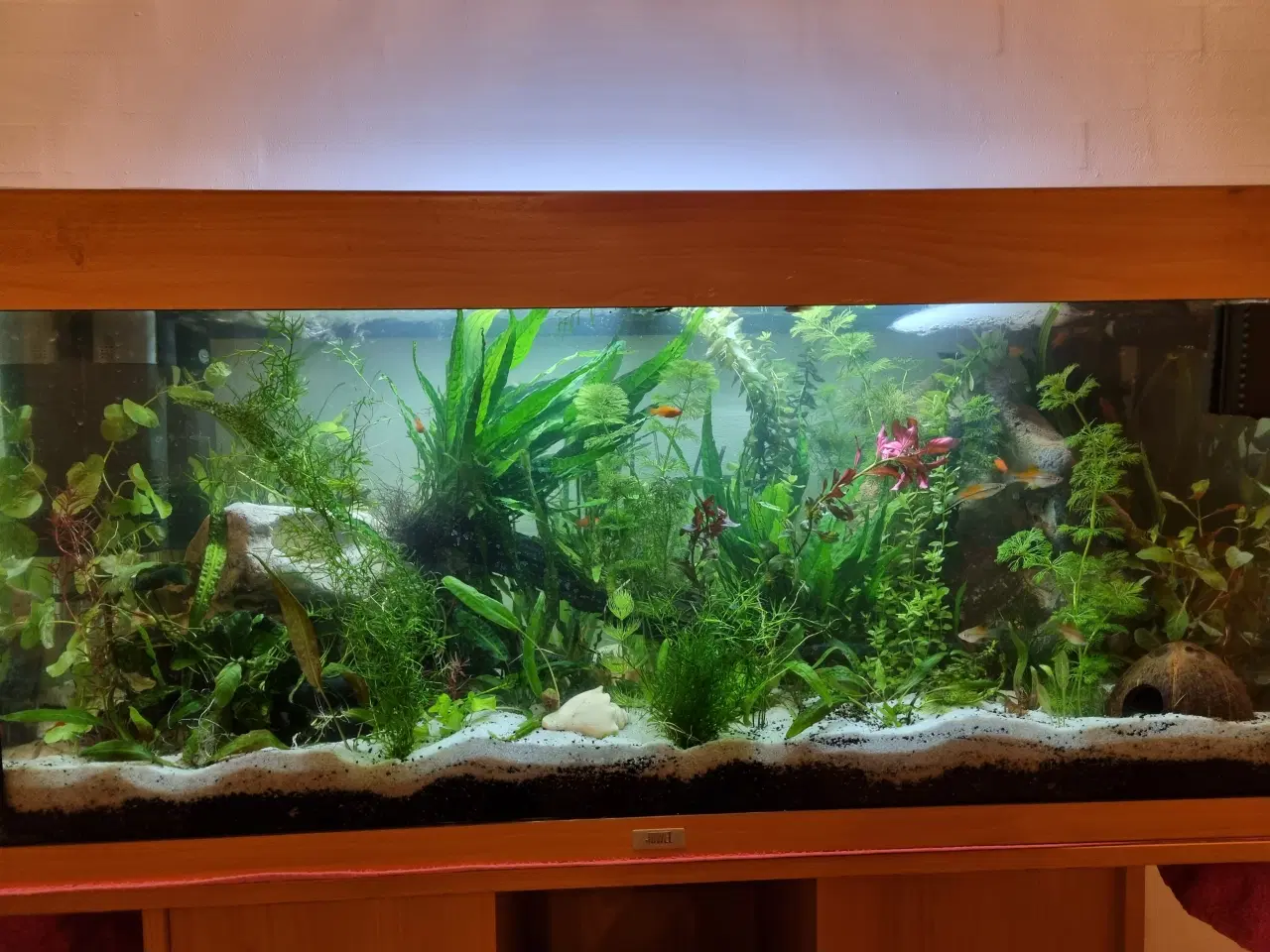 Billede 2 - Akvarie 180L 