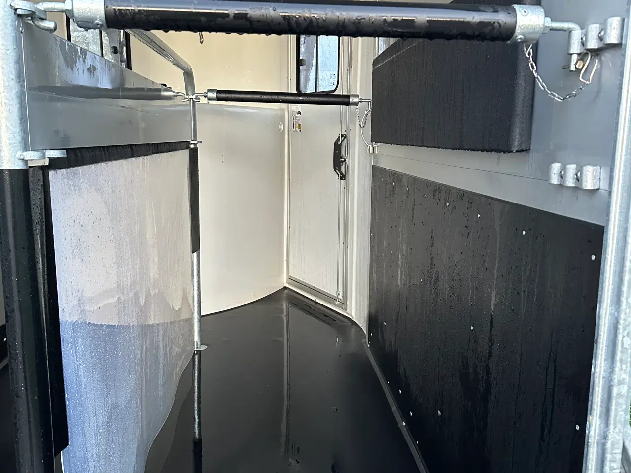 Billede 9 - Cheval Liberté Gold Origins