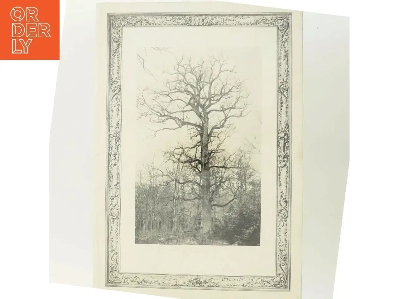 Billede 3 - Hasselskoven af Holger Munk (Bog)