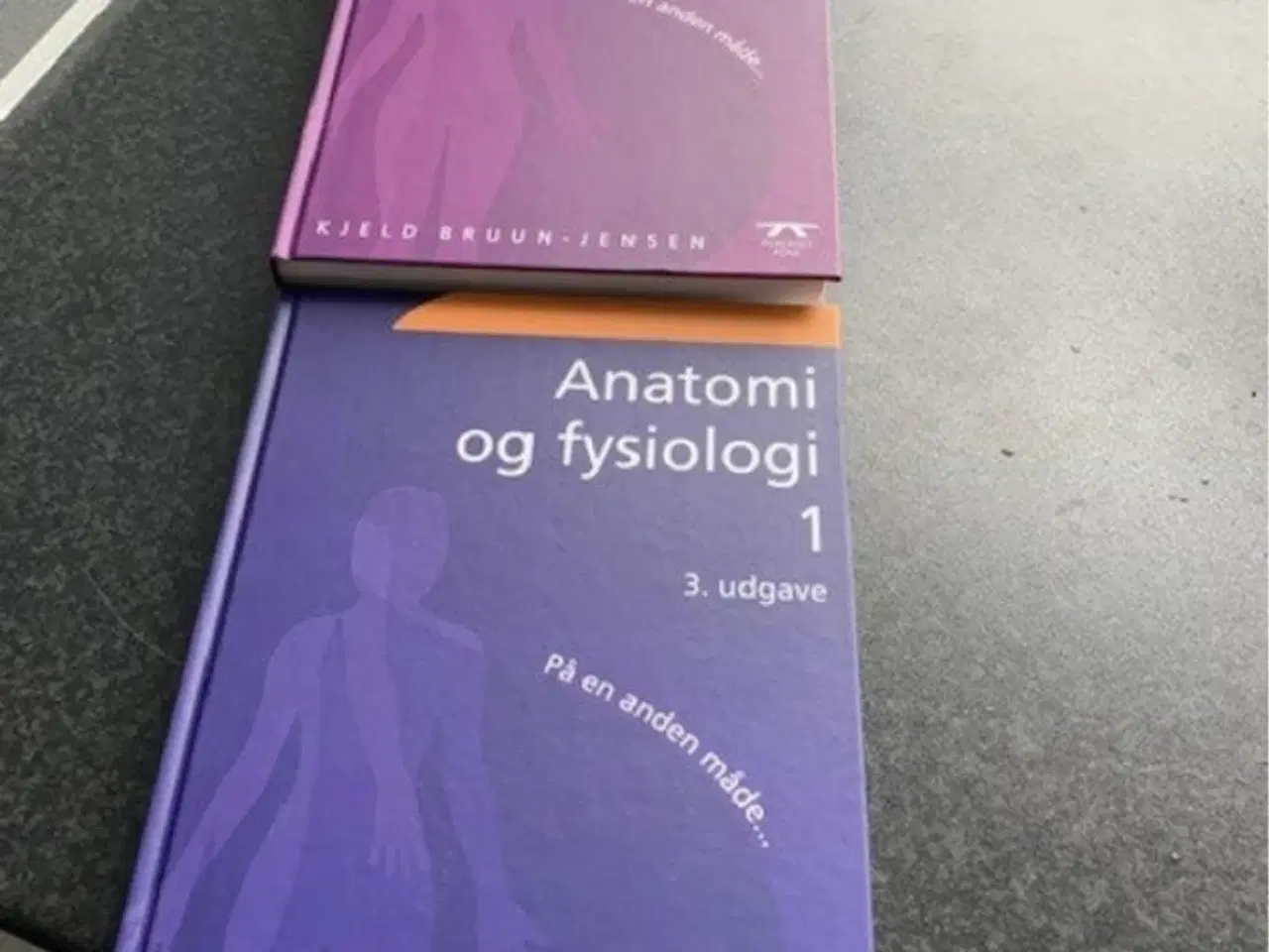 Billede 1 - Anatomi og fysiologi