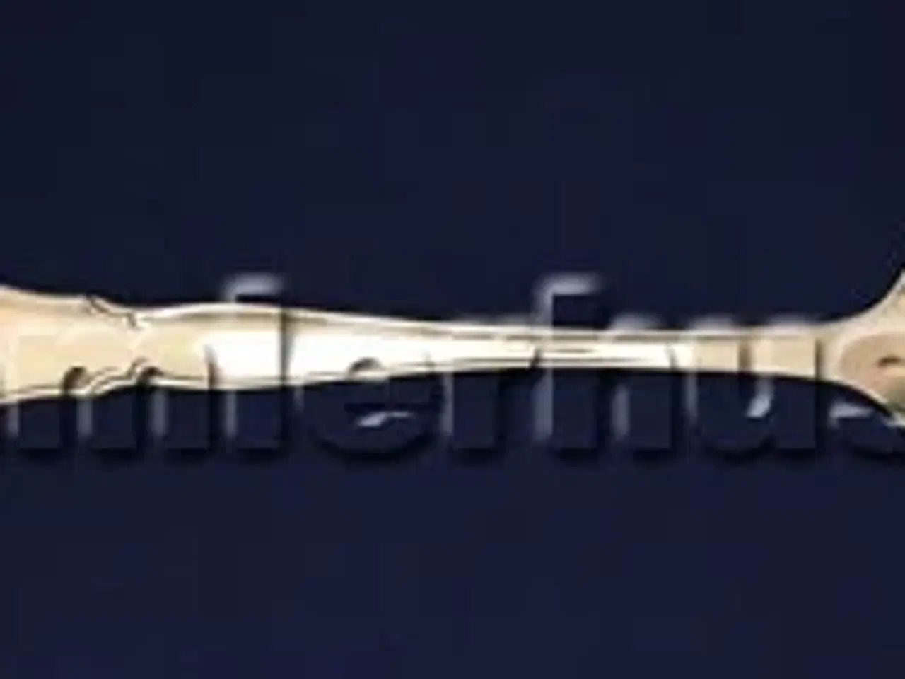 Billede 1 - Ambrusius Sauceske, 18 cm.