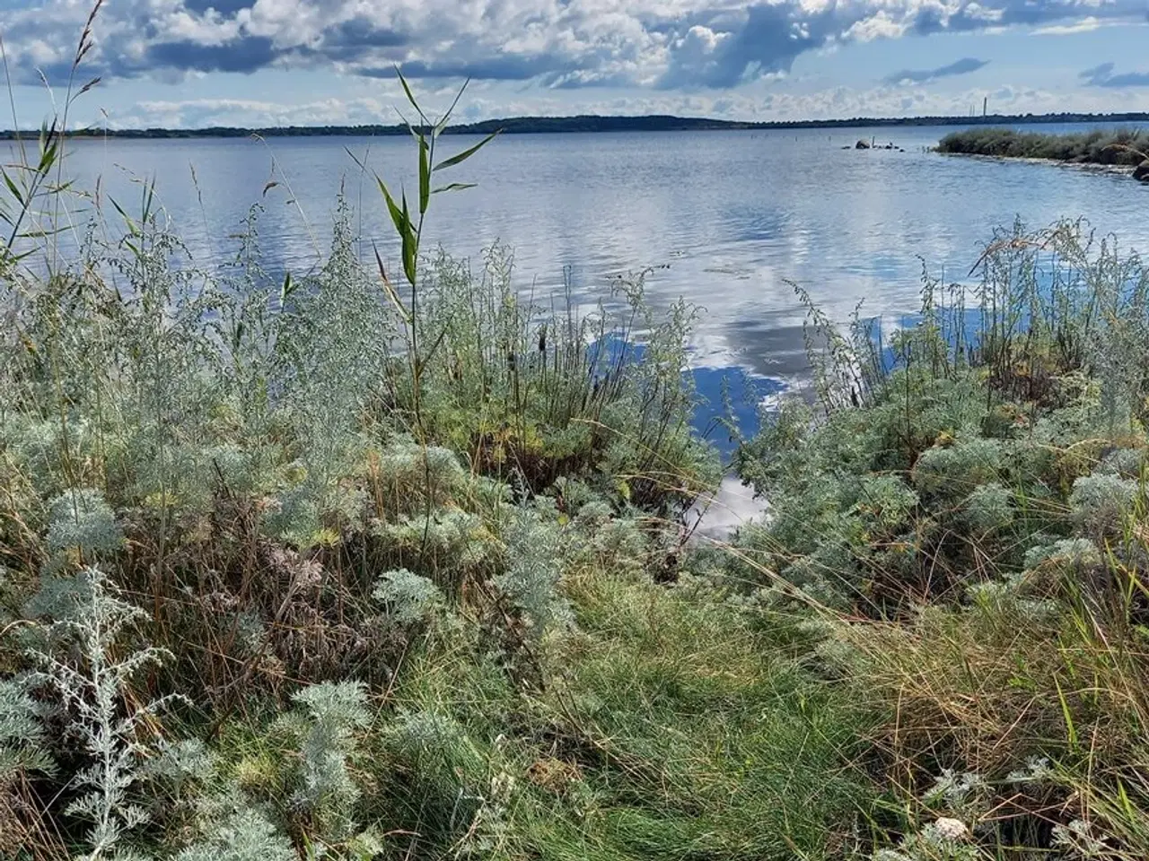 Billede 1 - Naturgrund tæt på Korsør