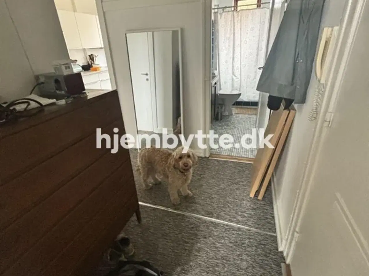 Billede 5 - Hjembytte - Dæmningen