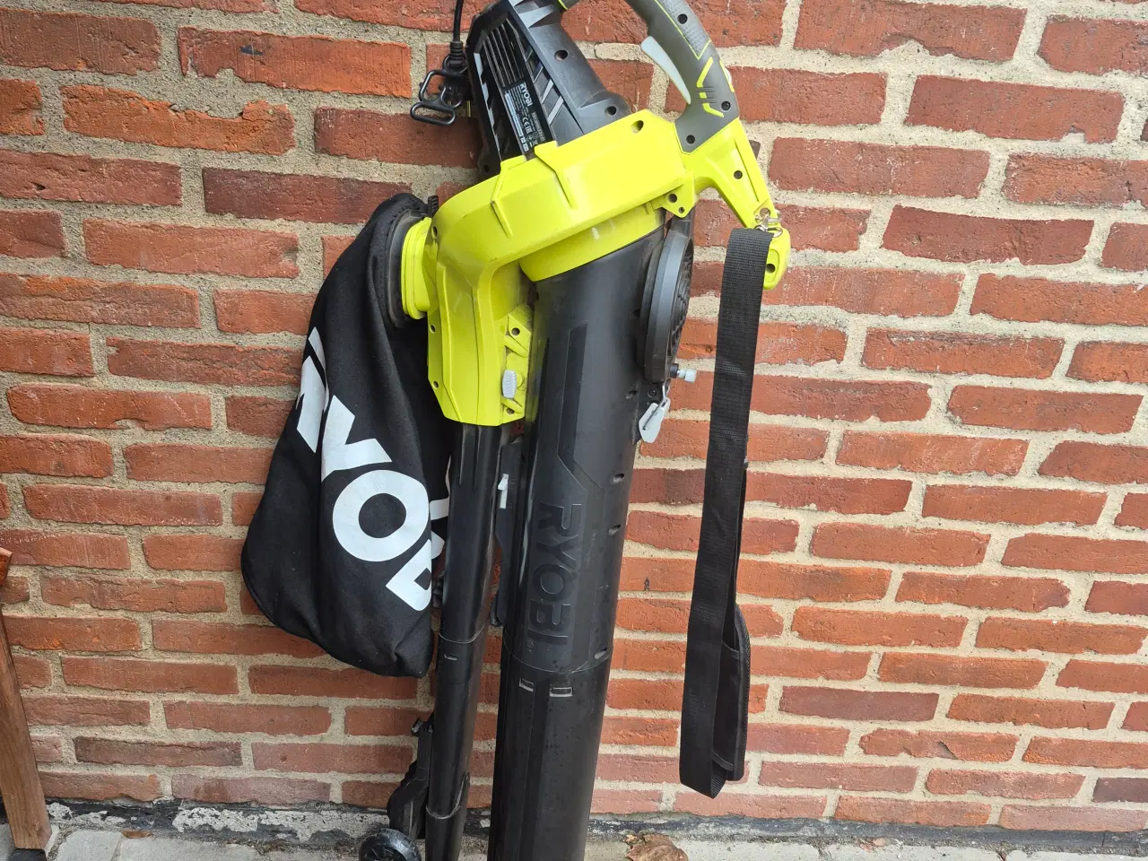 Billede 1 - Blodsugere blad blæser 