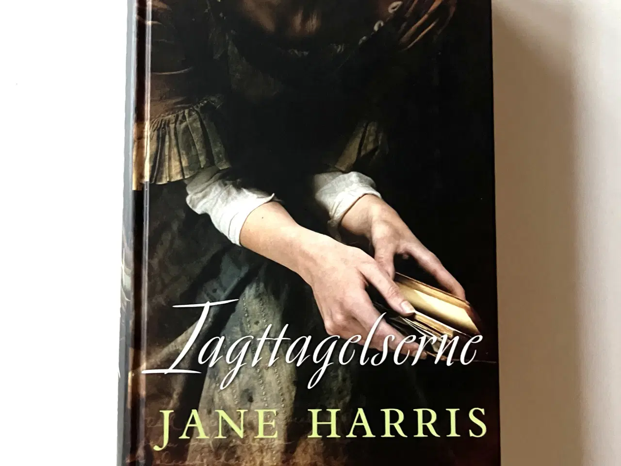 Billede 1 - Iagttagelserne. Af Jane Harris