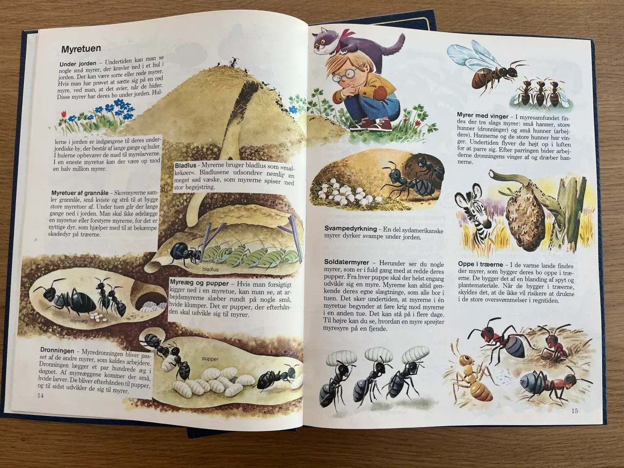 Billede 2 - Børnenes leksikon