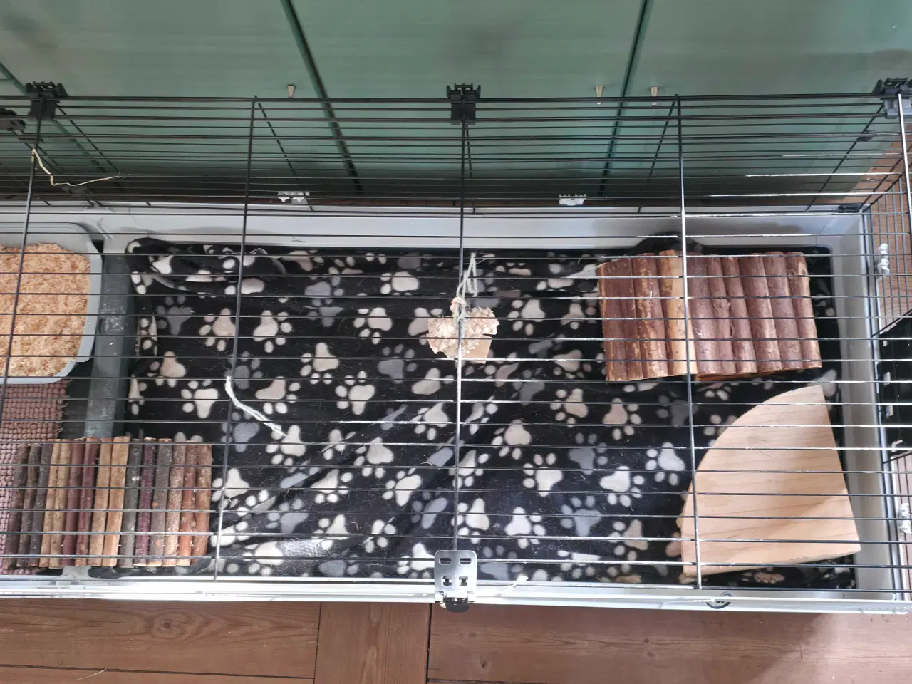 Billede 3 - Marsvin med alt