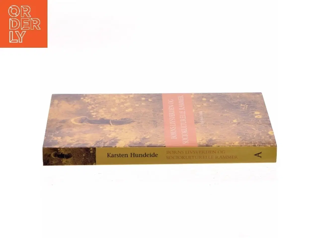 Billede 2 - Børns livsverden og sociokulturelle rammer af Karsten Hundeide (Bog)