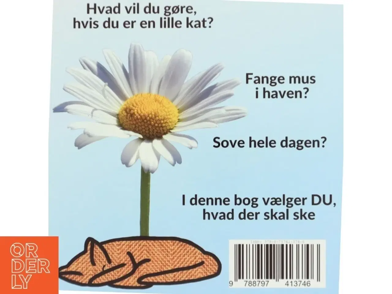 Billede 2 - Hvad vil du, når DU leger kat - af Sarah Kirstein