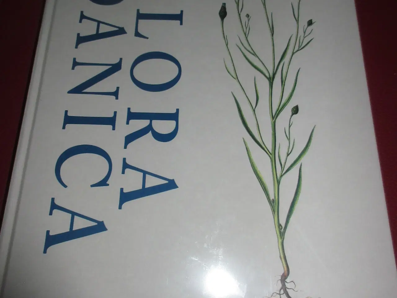 Billede 3 - Bogen Flora Danica af Henning Knudsen