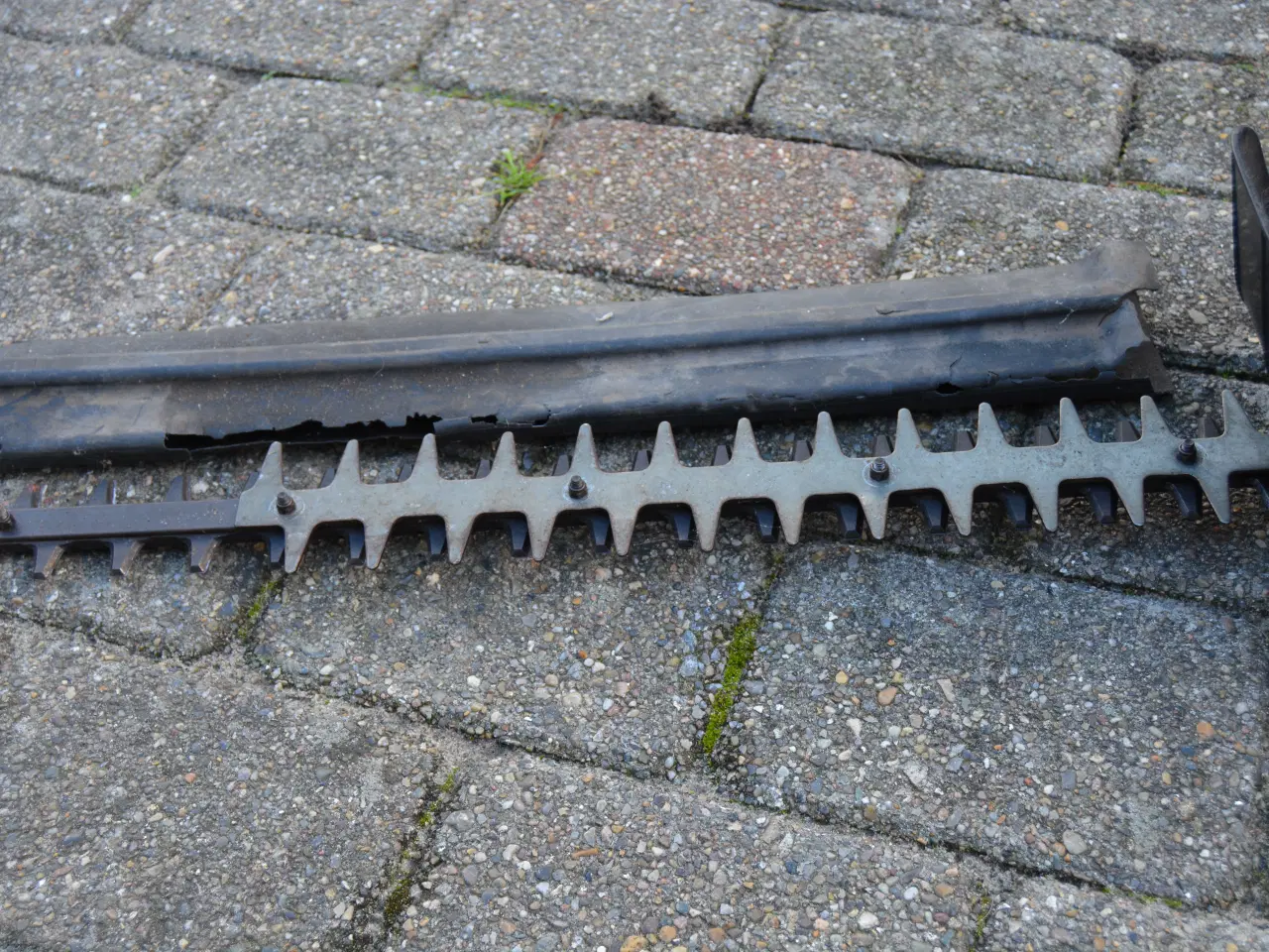 Billede 4 - Hækklipper - benzin