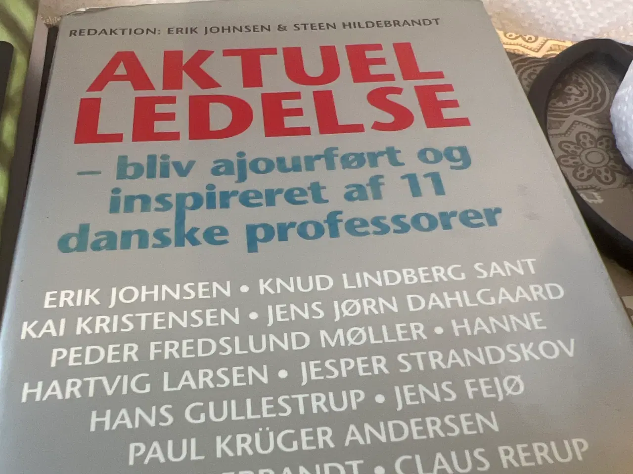 Billede 3 - 3 stk bøger om leder