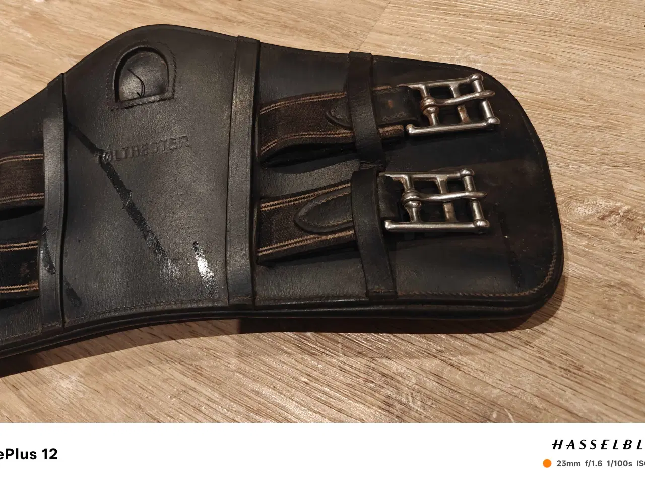 Billede 3 - Tølthester aflastningsgjord