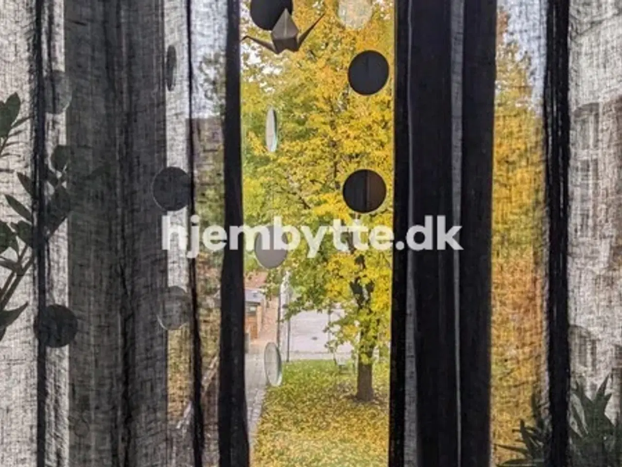 Billede 7 - Hjembytte - Nørrebrogade