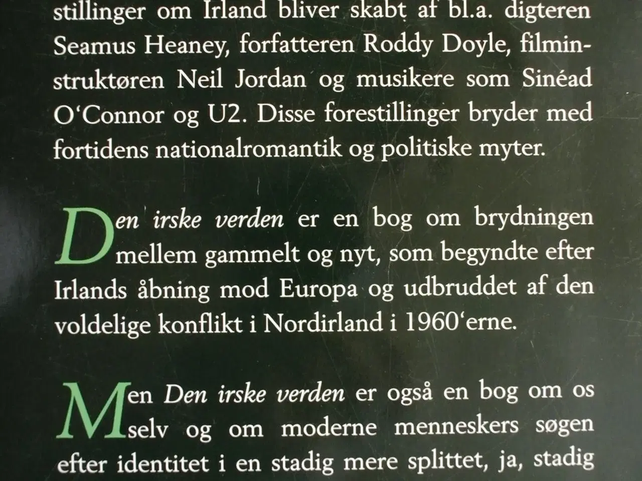 Billede 2 - den irske verden - historie, kultur og identitet i