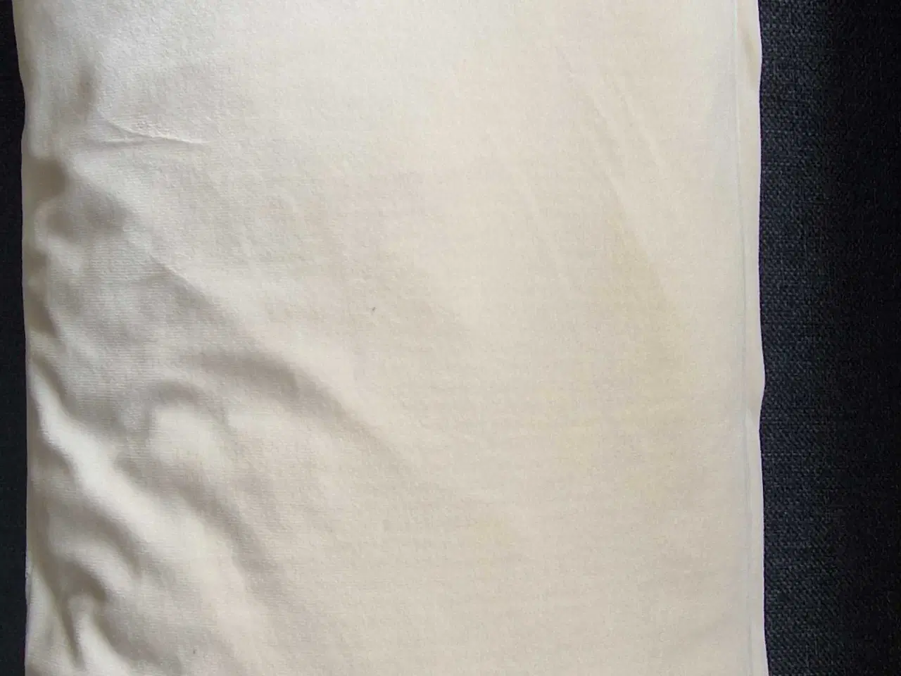 Billede 4 - Pyntepuder 2 stk, 25 x 45 cm