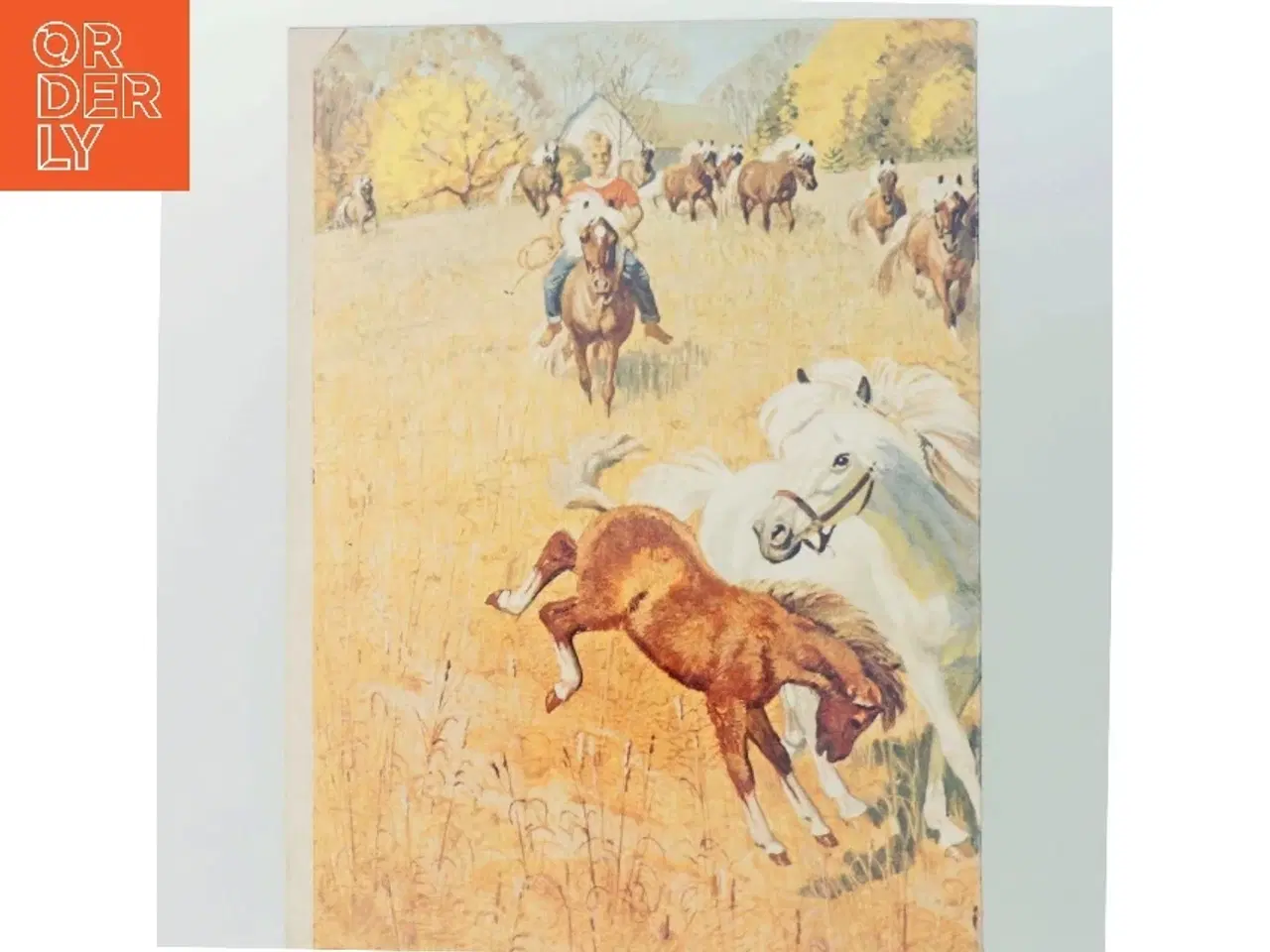 Billede 3 - Vintage magasin og kunsttryk fra Reader's Digest (str. Standard bogformat)