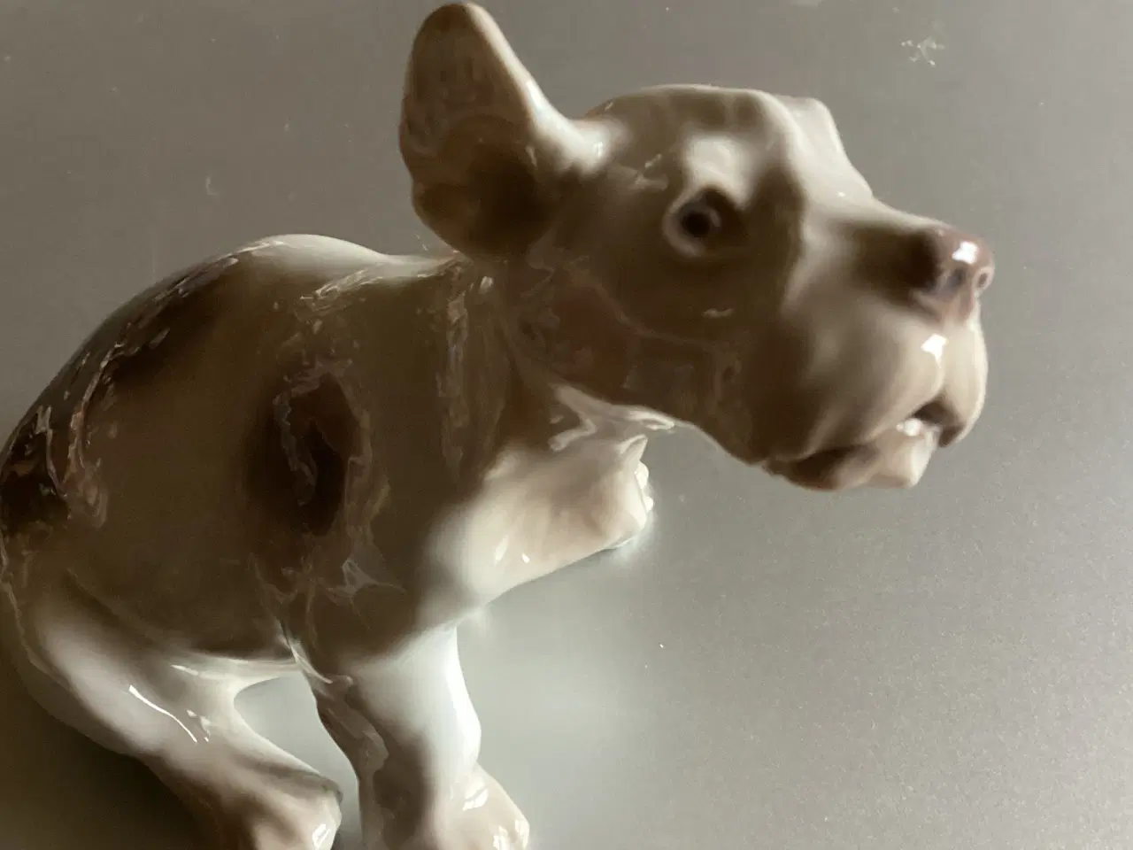 Billede 1 - BG Sealyham Hundehvalp