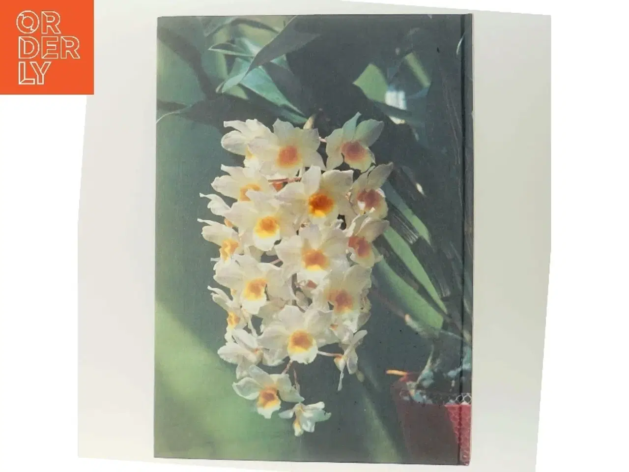 Billede 3 - Alt om stueplanter: Orkidéer af <Bogforfattere< (Bog)