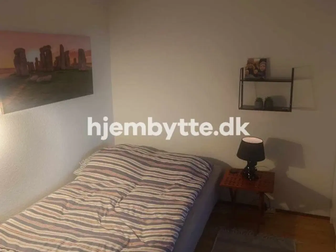 Billede 3 - Hjembytte - Magleparken