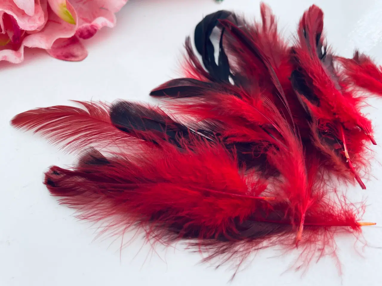 Billede 6 - Fjer i røde og mørke nuancer 