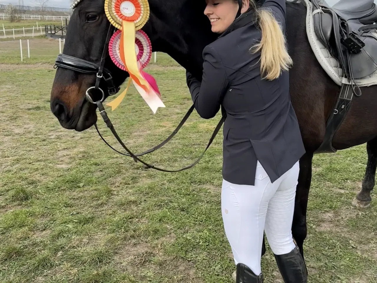 Billede 8 - Smuk hoppe 