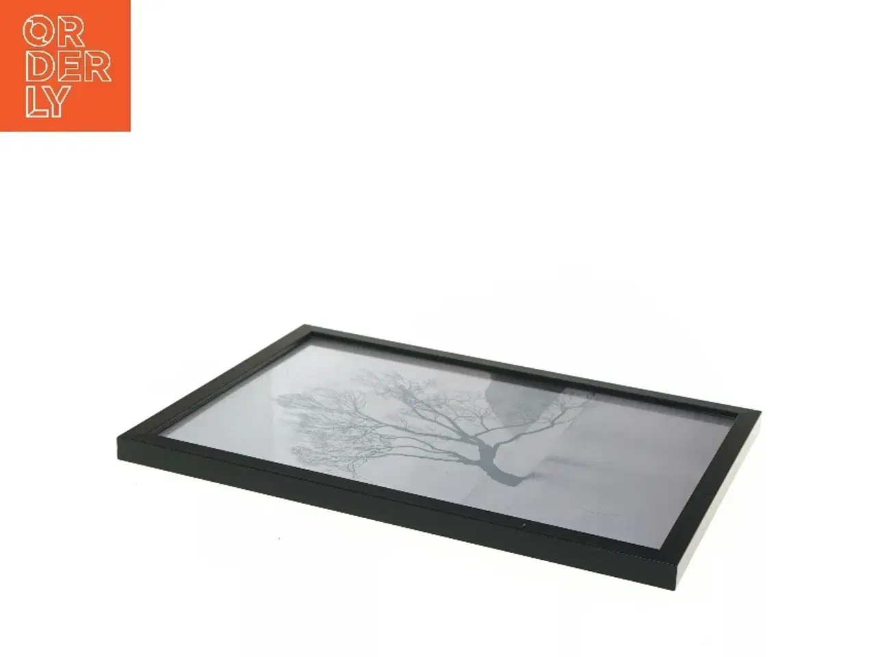 Billede 3 - Billede med sort ramme (str. 32x23 cm)