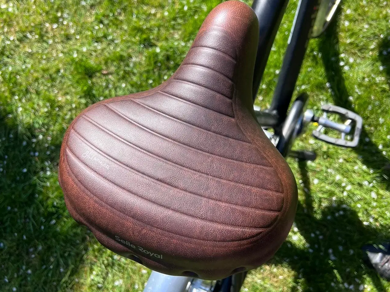 Billede 3 - Herrecykel Cortina Crush 57cm