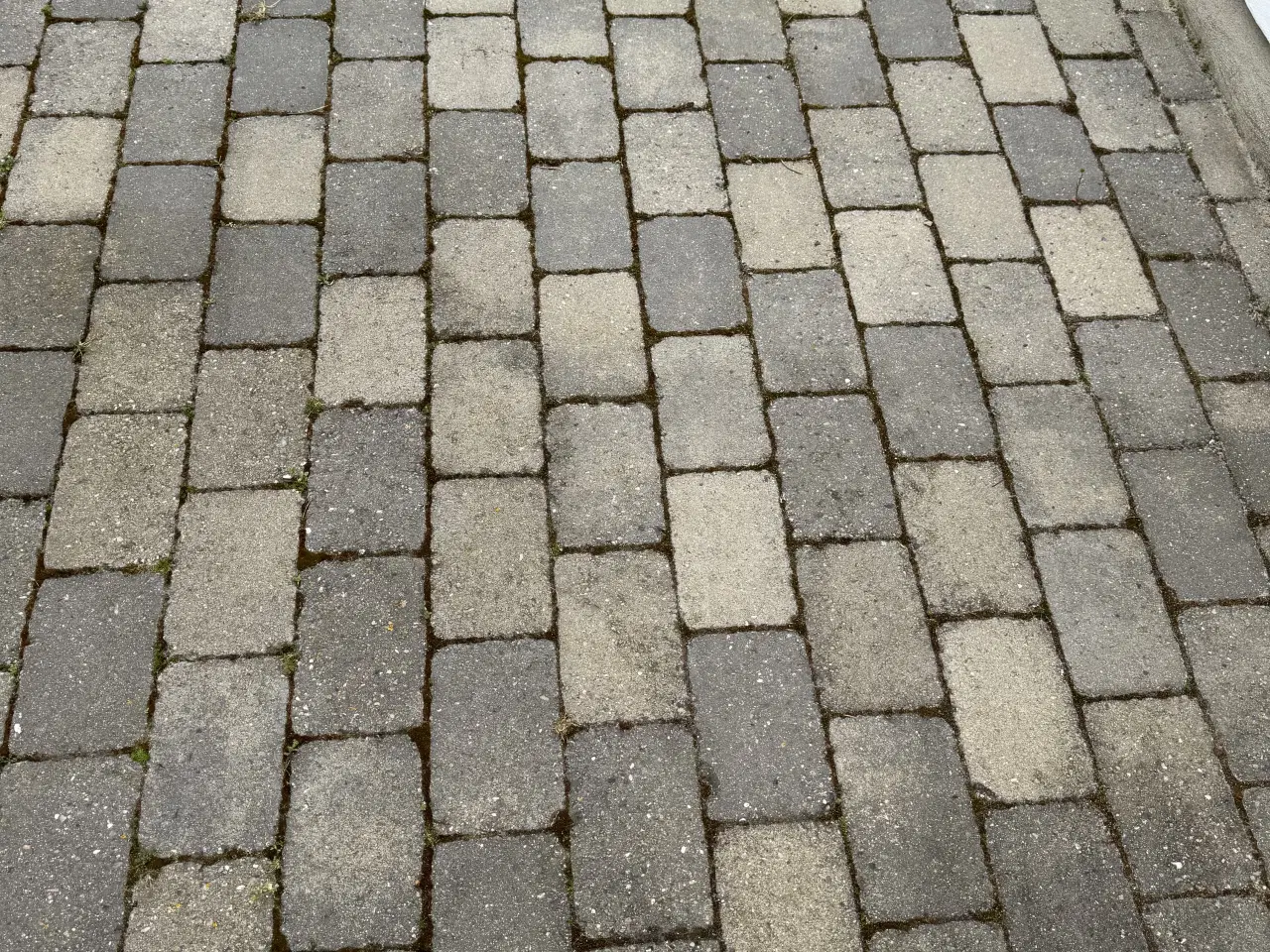 Billede 1 - Grå