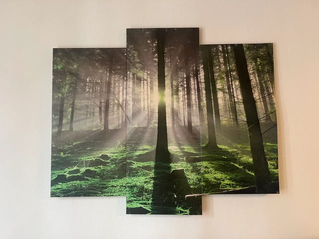 Billede 3 - Billeder 