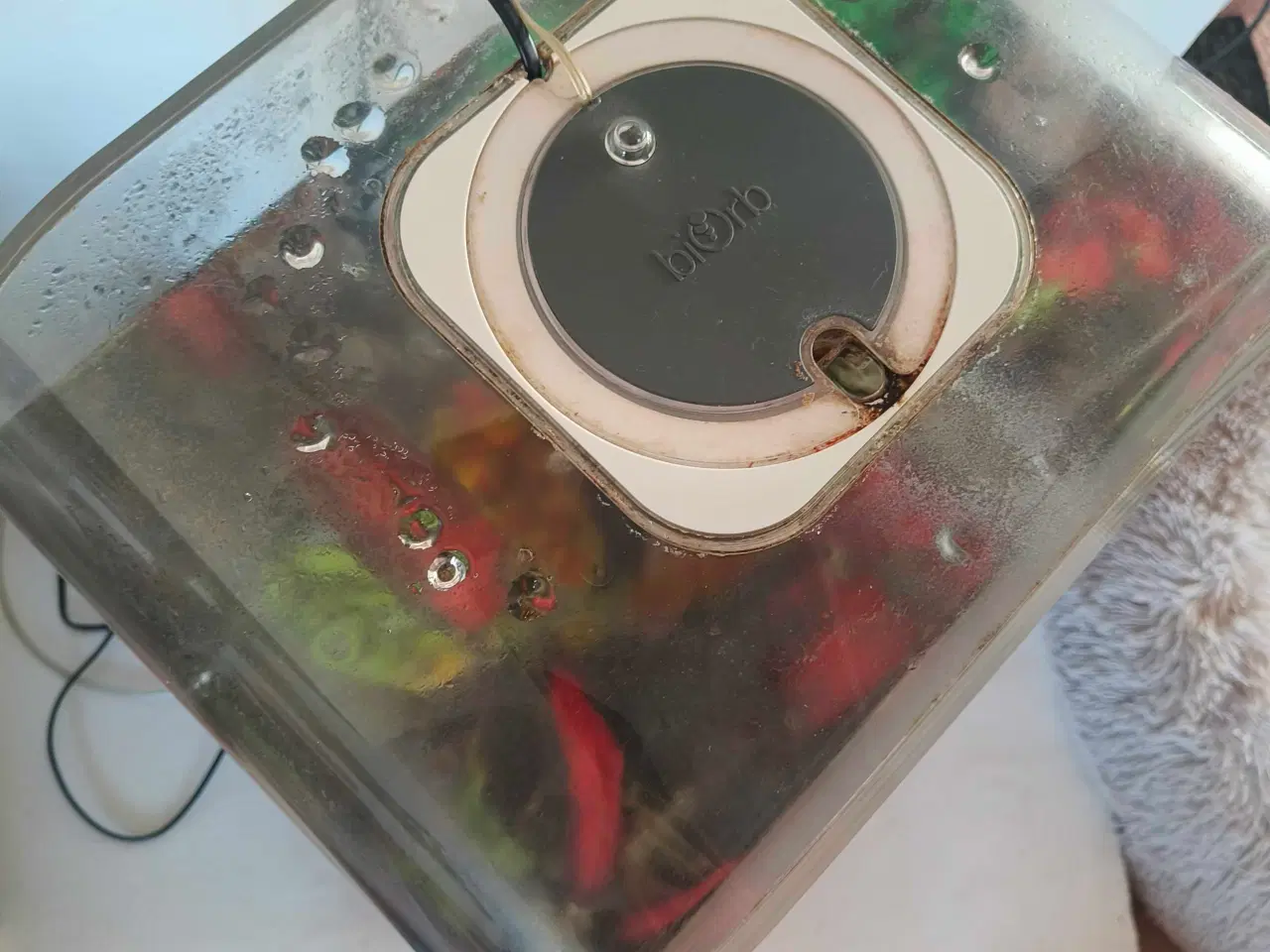 Billede 3 - Biorb akvarium 60 L. Gennemsigt