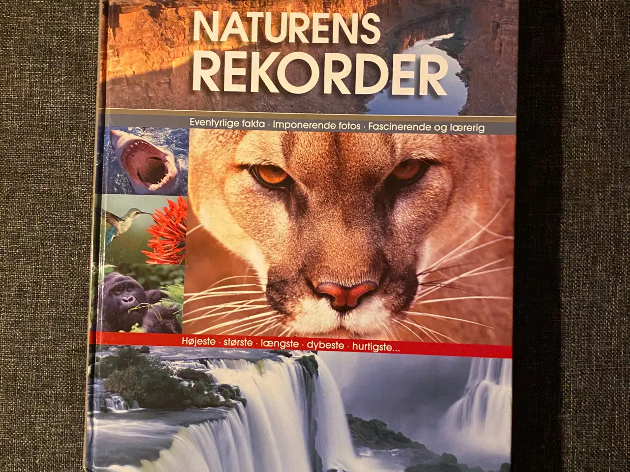 Billede 1 - Bog Naturens Rekorder