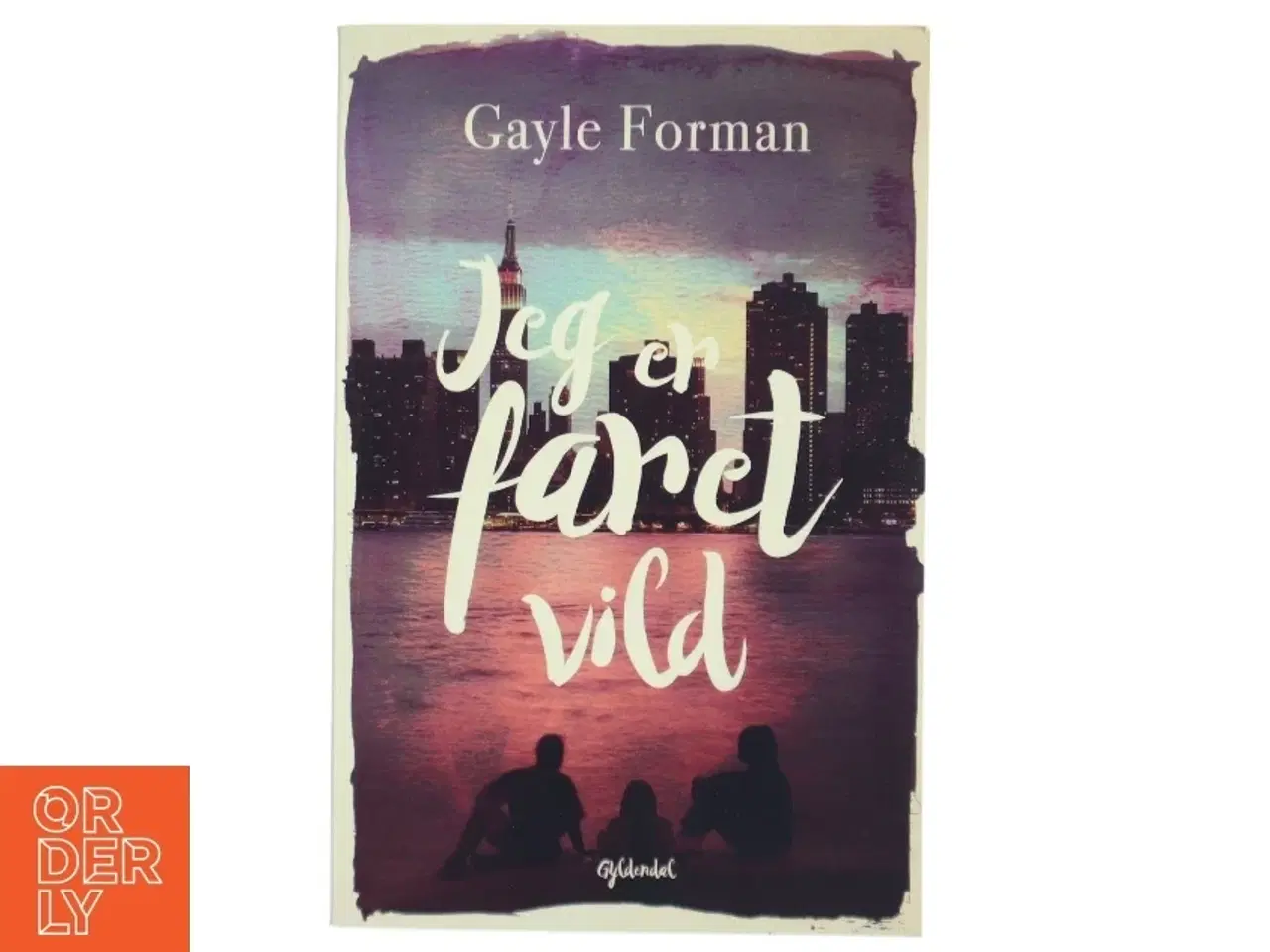Billede 1 - Jeg er faret vild af Gayle Forman (Bog)