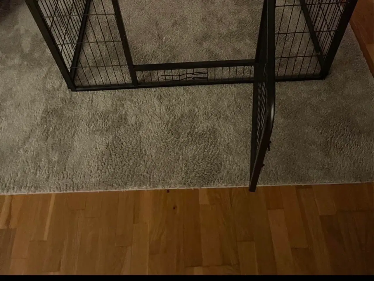 Billede 2 - hvalpegård