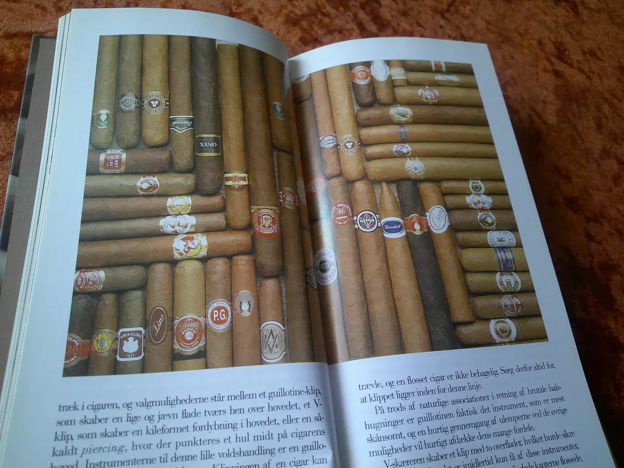 Billede 3 - Verdens bedste cigarer, Jane Resnick