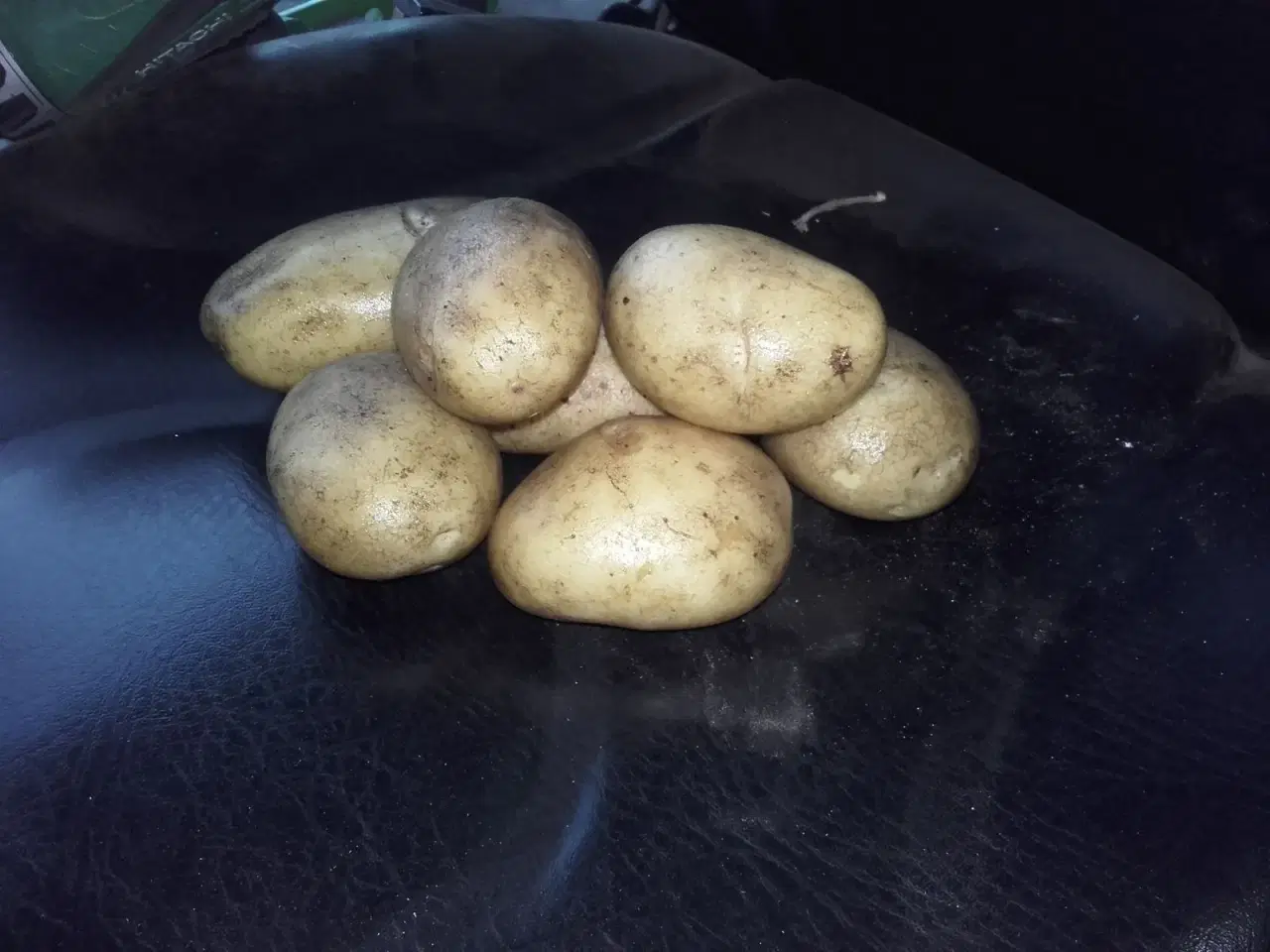 Billede 1 - kartofler solist