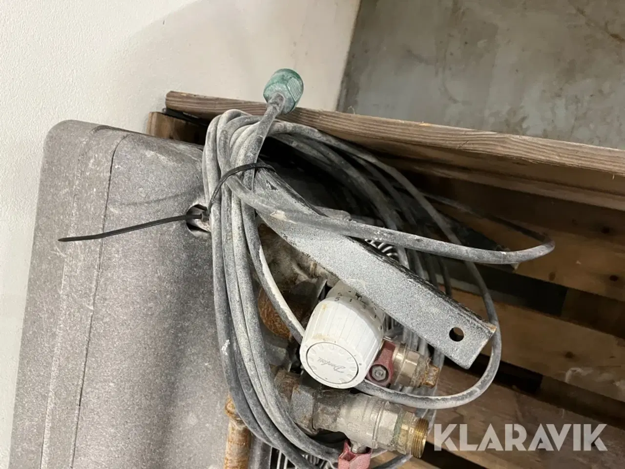 Billede 12 - Kaloiferer Gea og Sonniger 4 styk