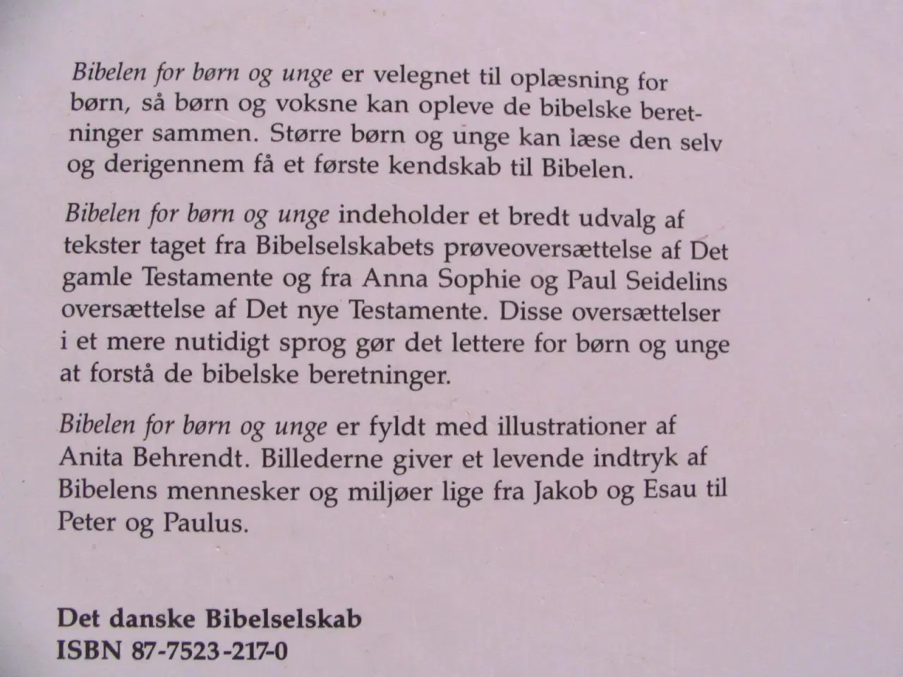 Billede 8 - Bibelen for børn og unge