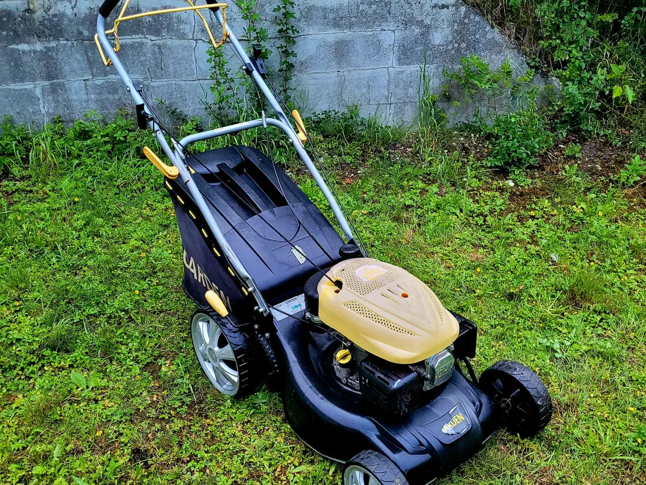 Billede 3 - Garden DYMIP70FE plæneklipper