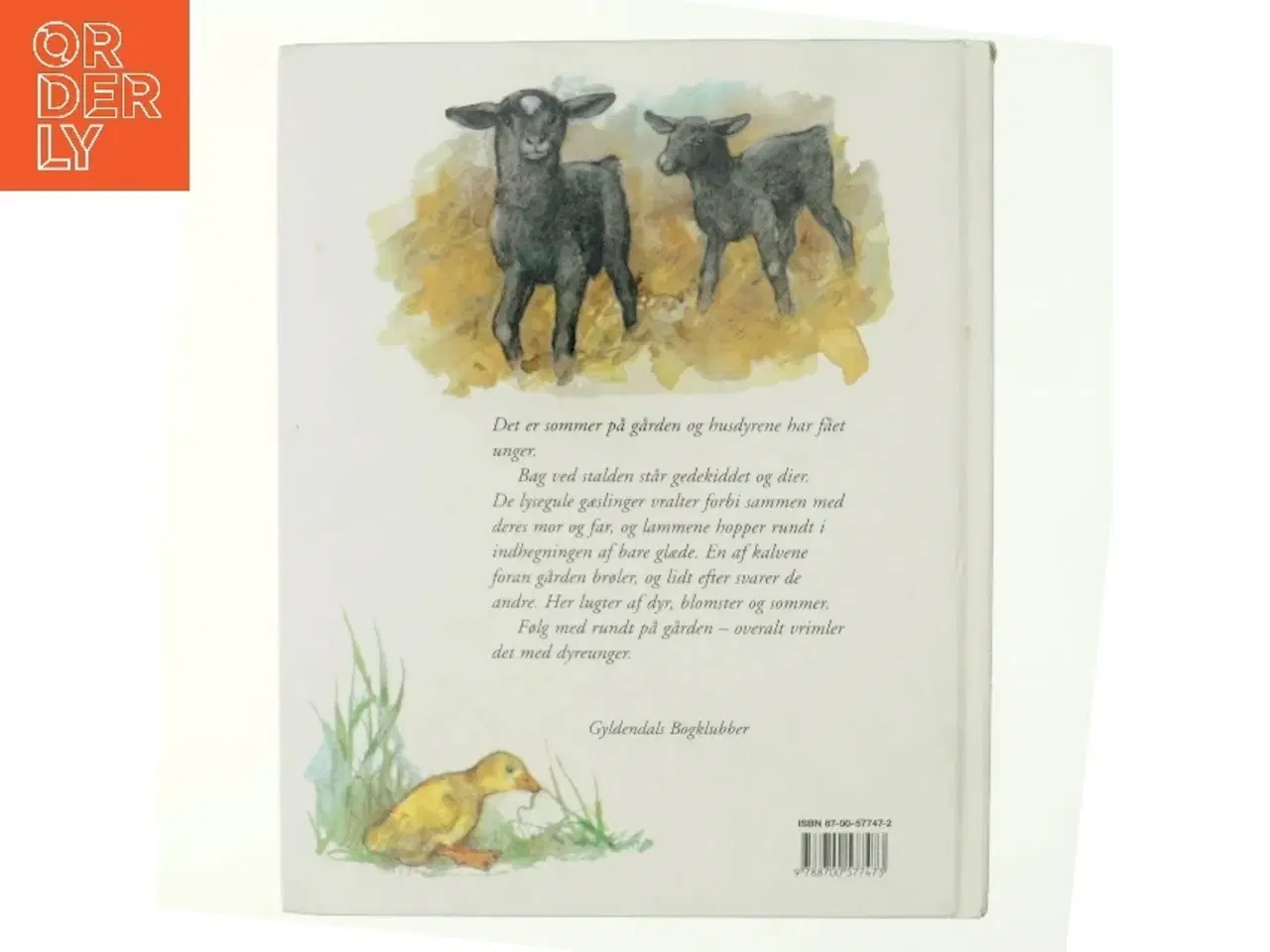 Billede 3 - Dyreunger på gården (Bog)