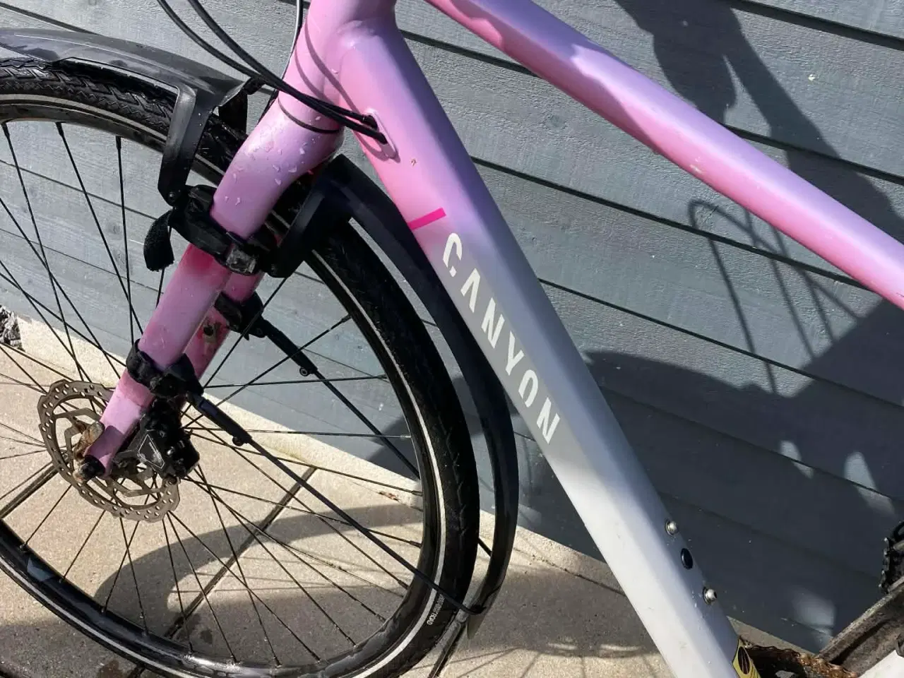 Billede 2 - Damecykel Canyon